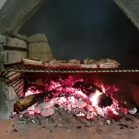 Hajder Posedarje